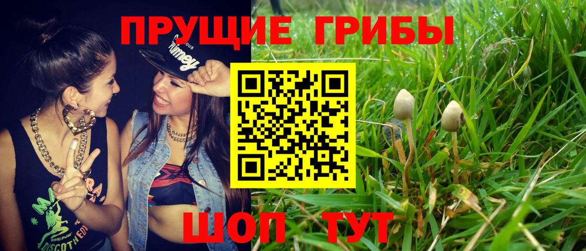 где купить наркоту  Псилоцибиновые грибы мицелий  Вход с VPN  Липецк 